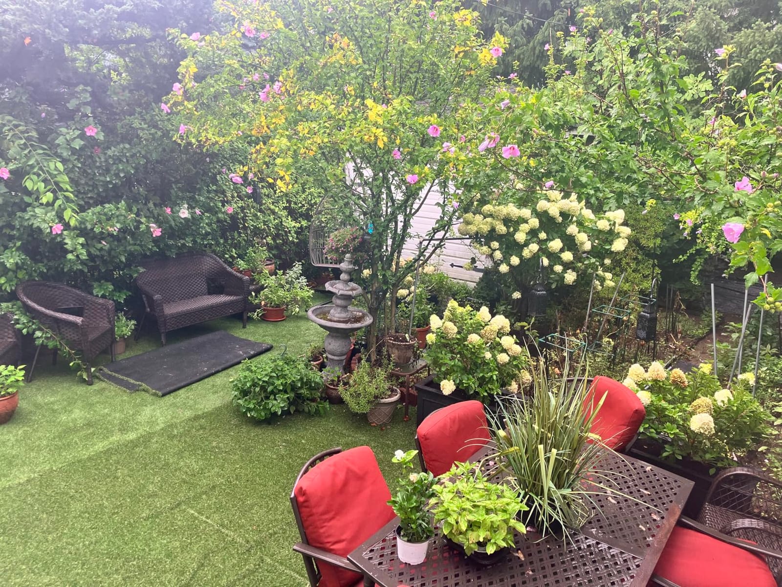 LITA Artificial Grass 3' x 10' (30 Square Feet) Realistic Fake Grass Deluxe Turf Synthetic Turf Thick Lawn Pet Turf - Perfect for Indoor/Outdoor Landscape (20mm high Pile) Customized customer photo 2