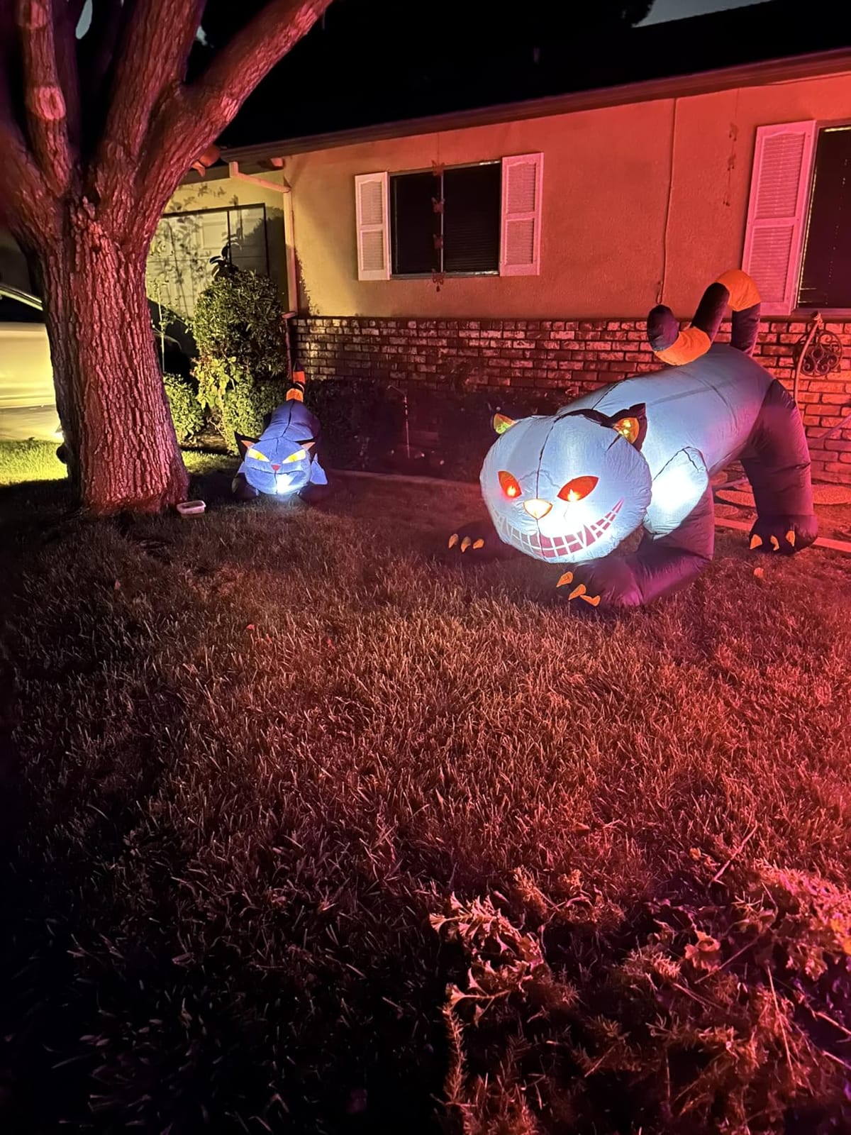 GOOSH 6 FT Halloween Inflatables Outdoor Black Cat with Shakable Head, Blow Up Yard Decoration with LED Lights Built-in for Holiday/Party/Yard/Garden customer photo 1