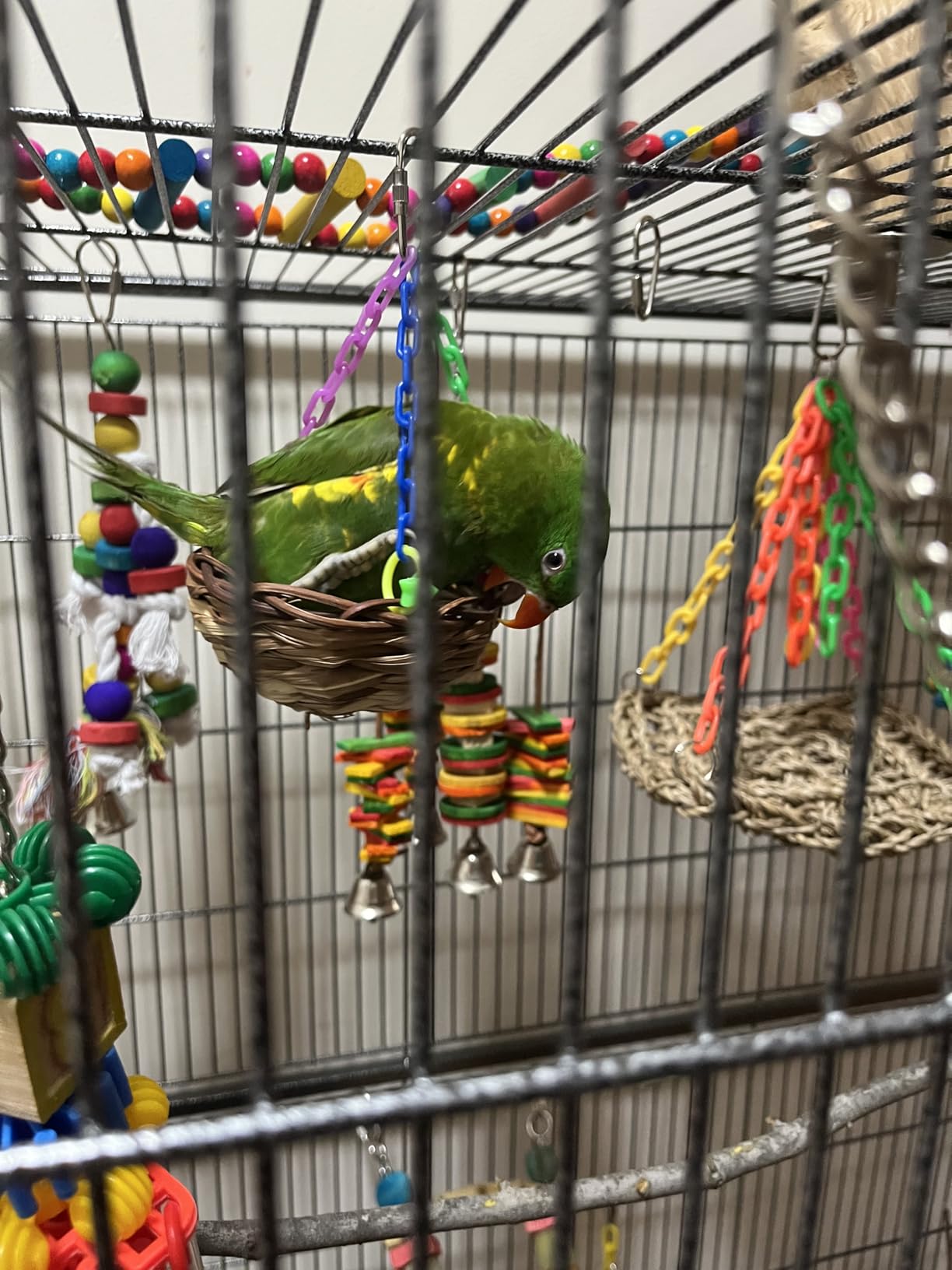 Topeakmart Wrought Iron Large Flight Parrot Bird Cage with Rolling Stand for Multiple Parakeets, Conures and Cockatiels customer photo 1