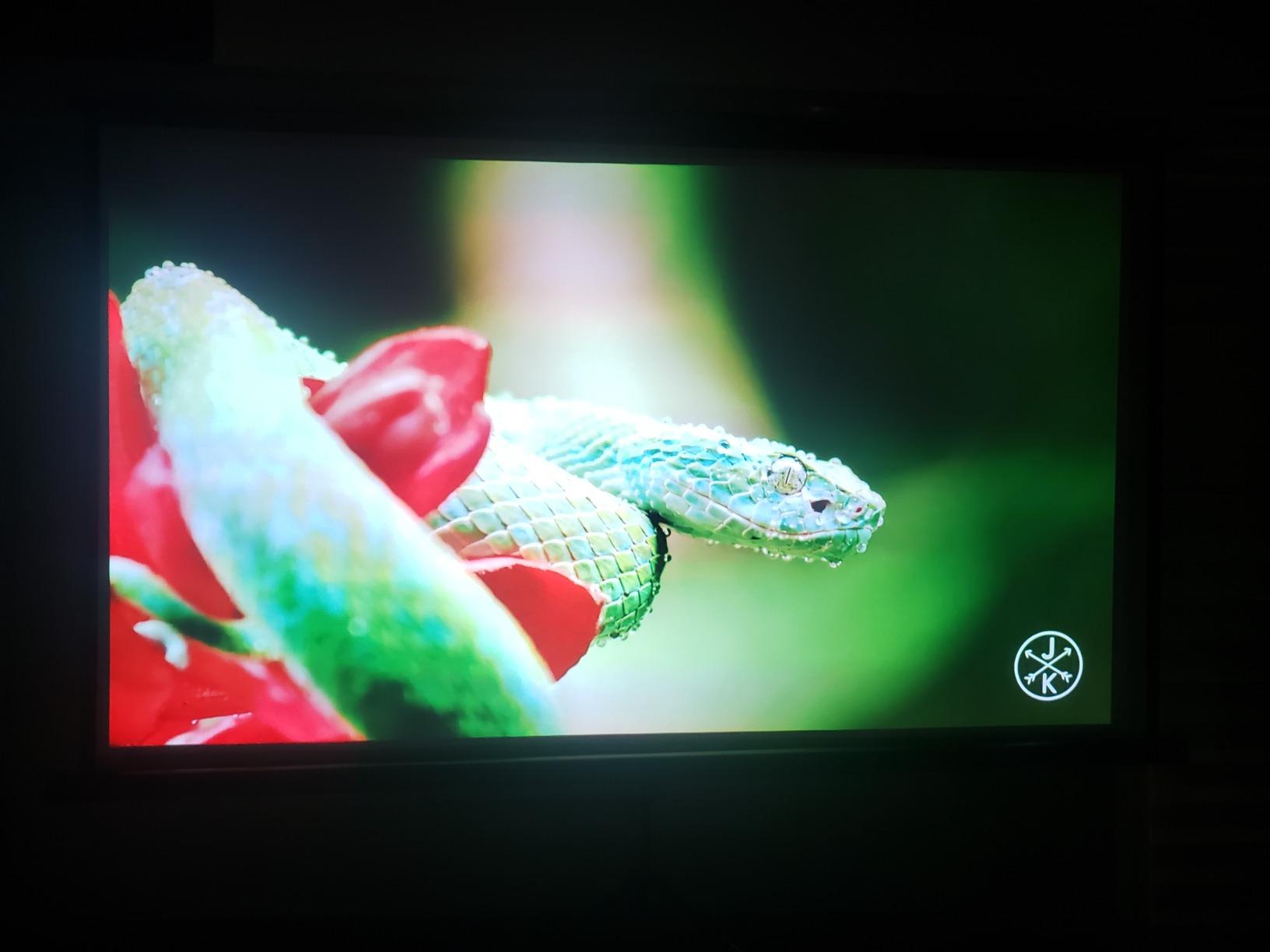 Optoma HD39HDR High Brightness HDR Home Theater Projector | 120Hz Refresh Rate | 4000 lumens | Fast 8.4ms Response time with 120Hz | Easy Setup with 1.3X Zoom | 4K Input | Quiet Operation 26dB customer photo 1