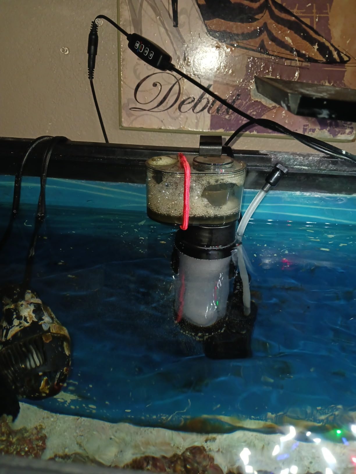 Coralife Biocube Protein Skimmer customer photo 1