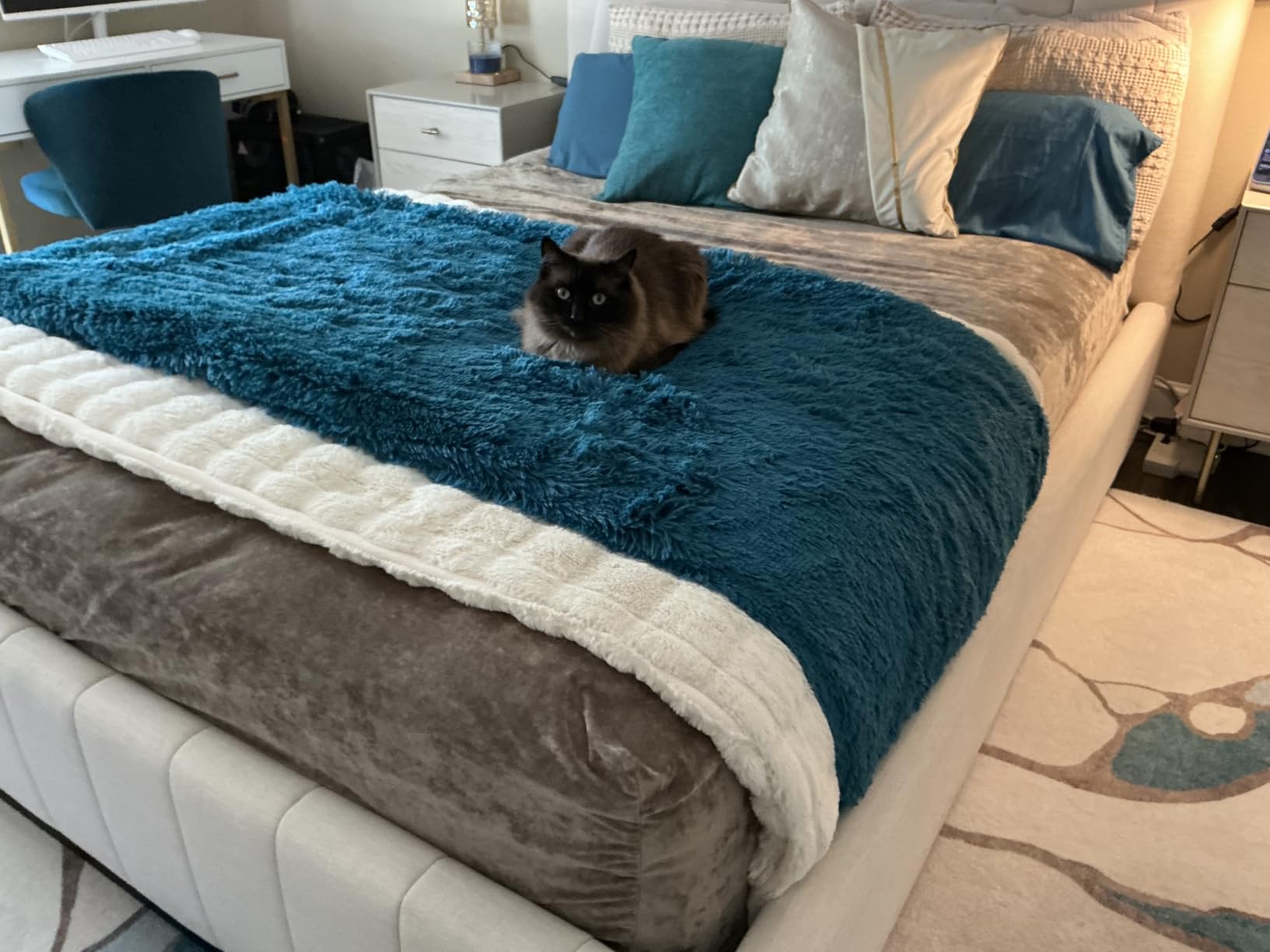 Bedsure GentleSoft Fluffy Fuzzy Faux Fur Throw Blanket for Couch, Soft Sherpa Fleece Cozy Gifts for Women, Plush Bed Blanket Room Decor for Men, Thick Warm Teen Gifts Winter Bedding customer photo 1
