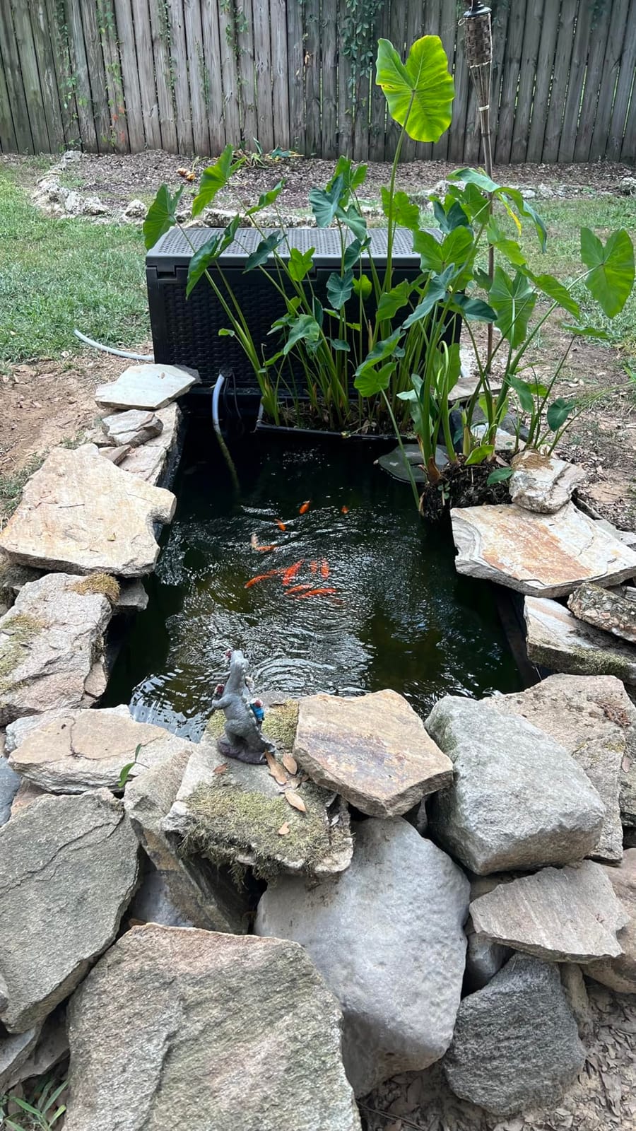 VIVOHOME 1580GPH Bio Pressure Pond Filter with 13W Light for Various Ponds, Multi-Size Adapter, 16.4ft Power Cord, Koi Ponds up to 800Gallons, Ornamental Ponds up to 1600Gallons customer photo 2