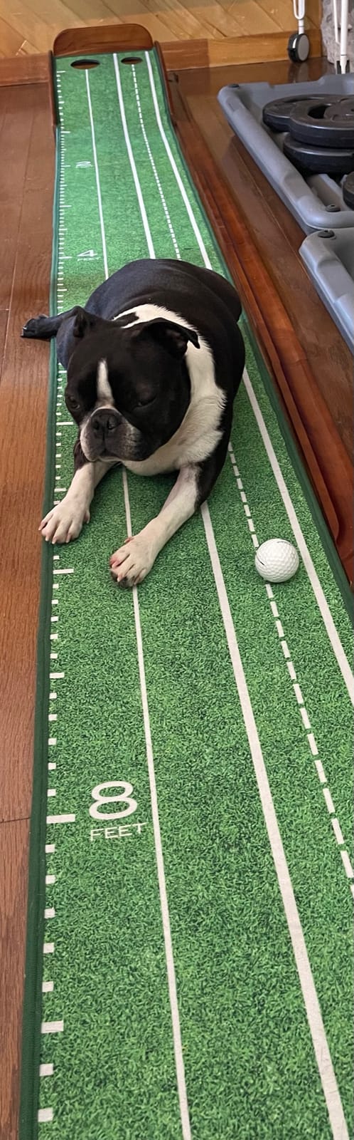 Perfect Practice Putting Mat & Chipping Net, Indoor & Outdoor Putting Green, Chipping Mat for Home & Office, Premium Golf Training Aids for Putting Practice with Realistic Turf, Golf Gifts for Men customer photo 2