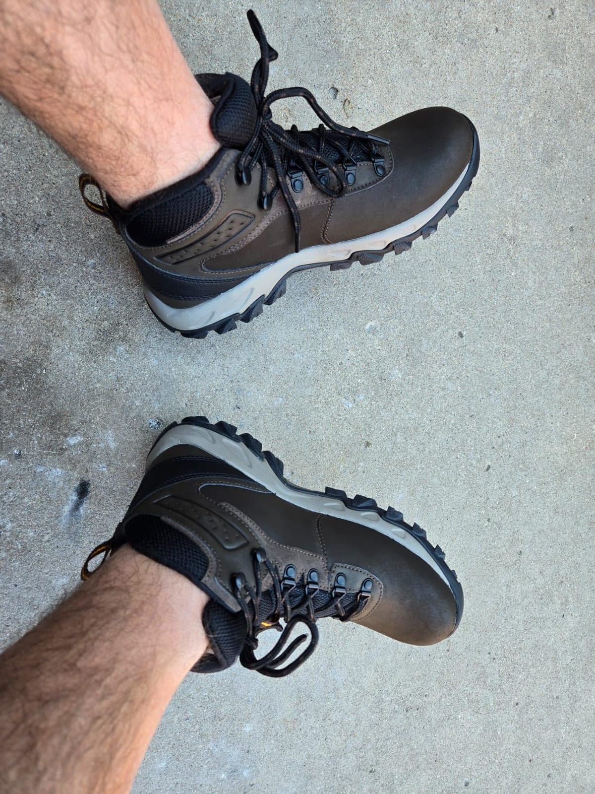 Columbia Men's Newton Ridge Plus II Waterproof Hiking Boot customer photo 1