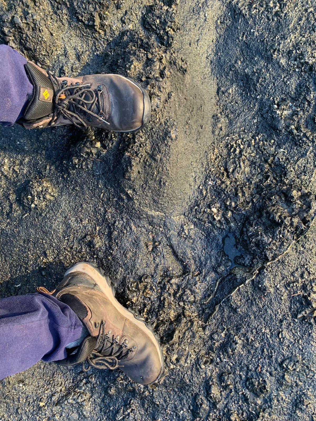Columbia Men's Newton Ridge Plus II Waterproof Hiking Boot customer photo 2