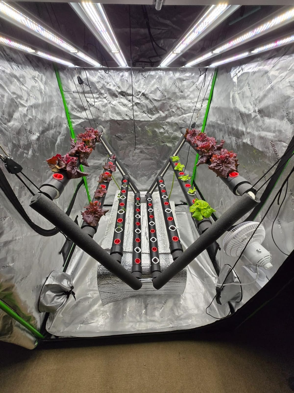 VIVOSUN Hydroponics Growing System 90 Plant Sites, 3 Layers 10 Food-Grade PVC-U Pipes Hydroponic Gardening System Grow Kit with Water Pump, Pump Timer, Nest Basket and Sponge for Leafy Vegetables customer photo 1
