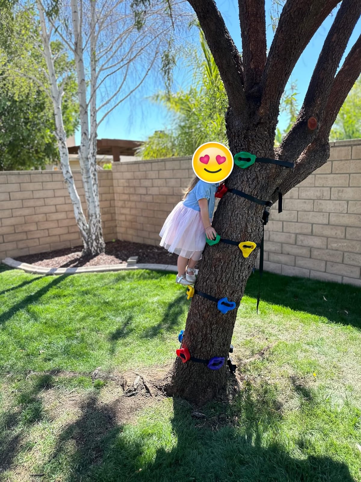 TOPNEW 12 Ninja Tree Climbing Holds for Kids Climber, Adult Climbing Rocks with 6 Ratchet Straps for Outdoor Ninja Warrior Obstacle Course Training customer photo 1