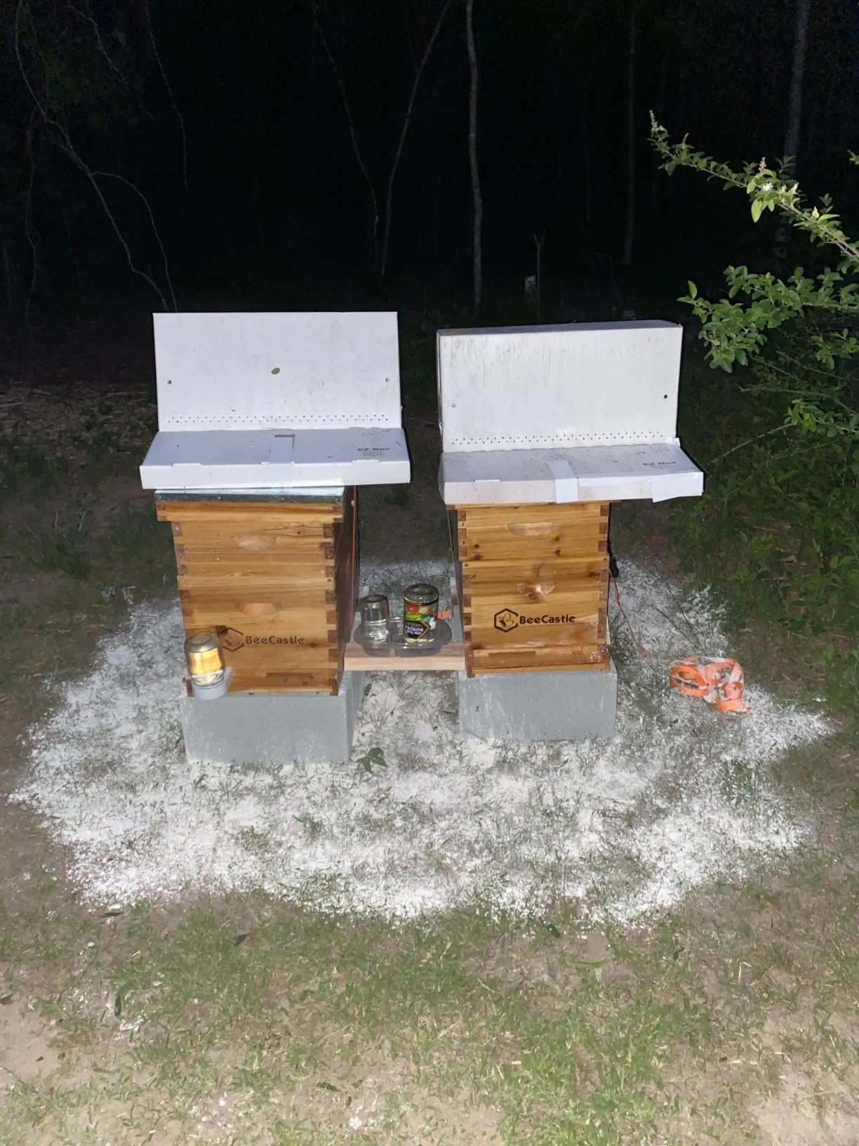 BeeCastle 8 Frame Langstroth Bee Hive Coated with Beeswax Includes Beehive Frames and Waxed Foundations (1 Deep Box & 1 Medium Box) customer photo 1