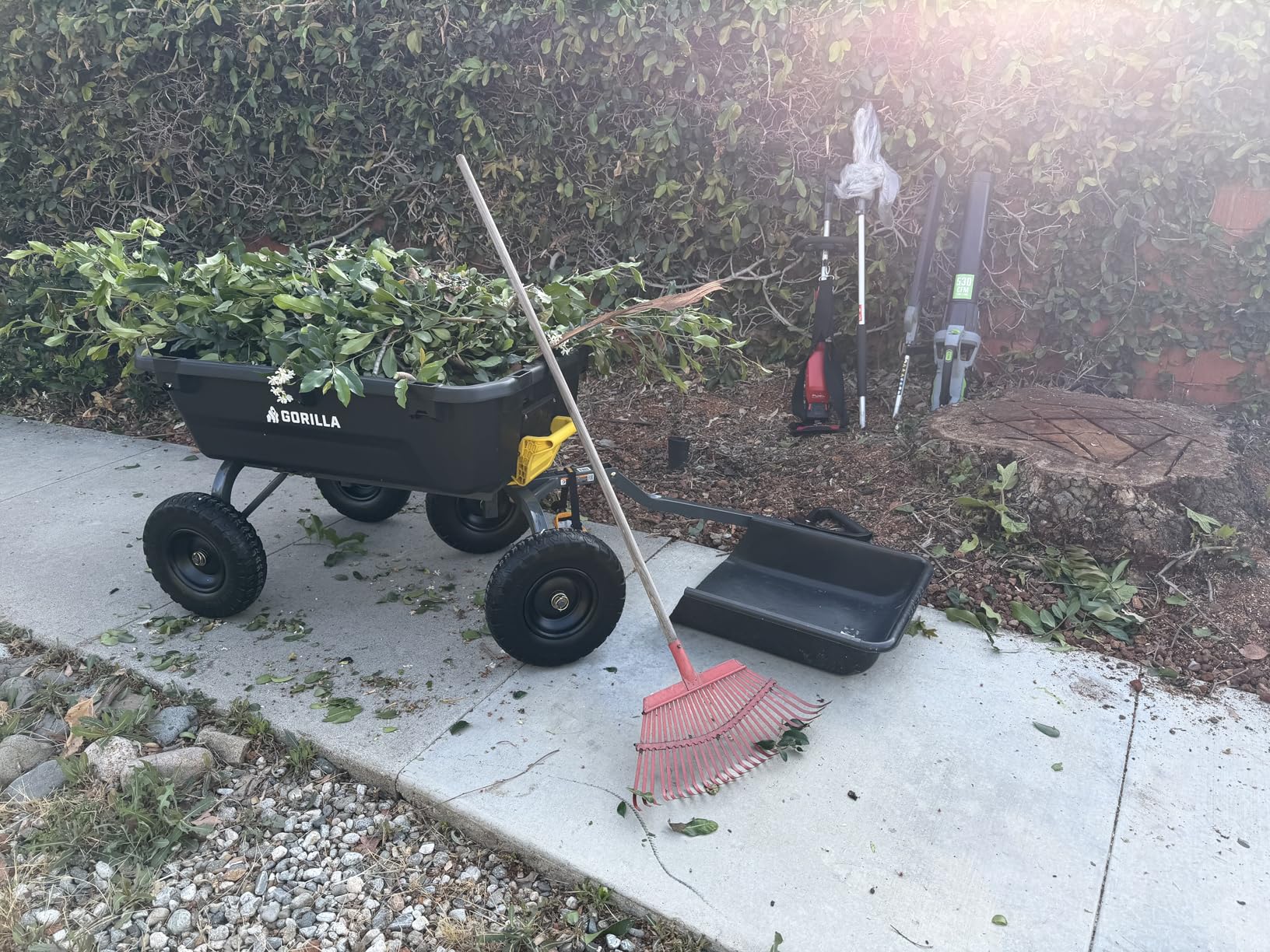 Gorilla Carts Heavy-Duty Dump Cart, Patented Quick-Release Dumping, Steel Frame, 600 lb Capacity, No-Flat 10-Inch Tires, Utility Wagon for Garden, Yard, Beach customer photo 1