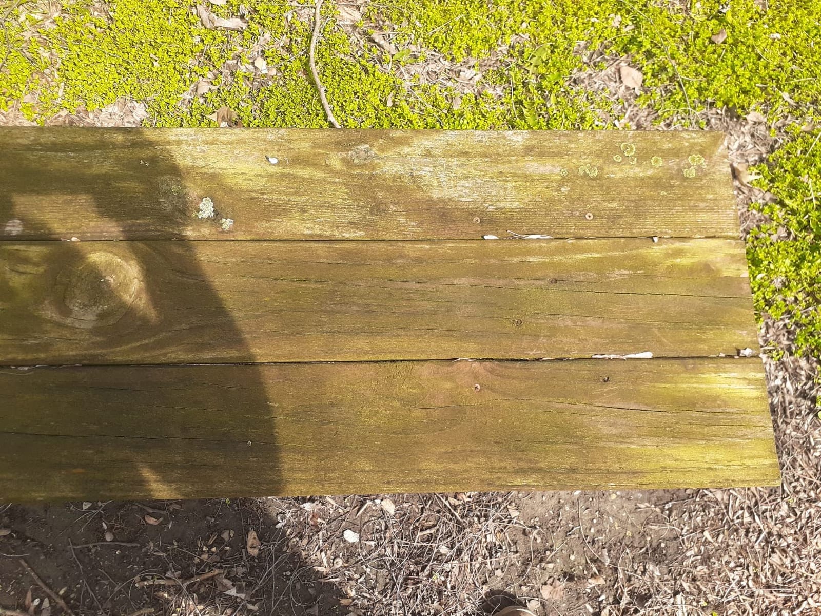 CRAFTSMAN Electric Pressure Washer, Cold Water, 1900-PSI, 1.2-GPM, Corded (CMEPW1900) customer photo 1