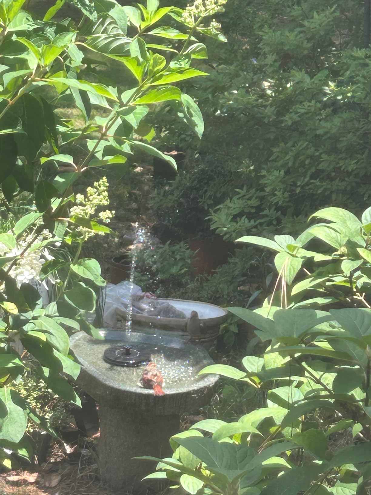 Mademax Solar Bird Bath Fountains, Upgrade 1.4W Solar Fountain Pump with 8 Nozzles & 4 Brackets, Free Standing Floating Solar Powered Water Fountain Pump for Bird Bath, Garden, Pond, Pool, Outdoor customer photo 2