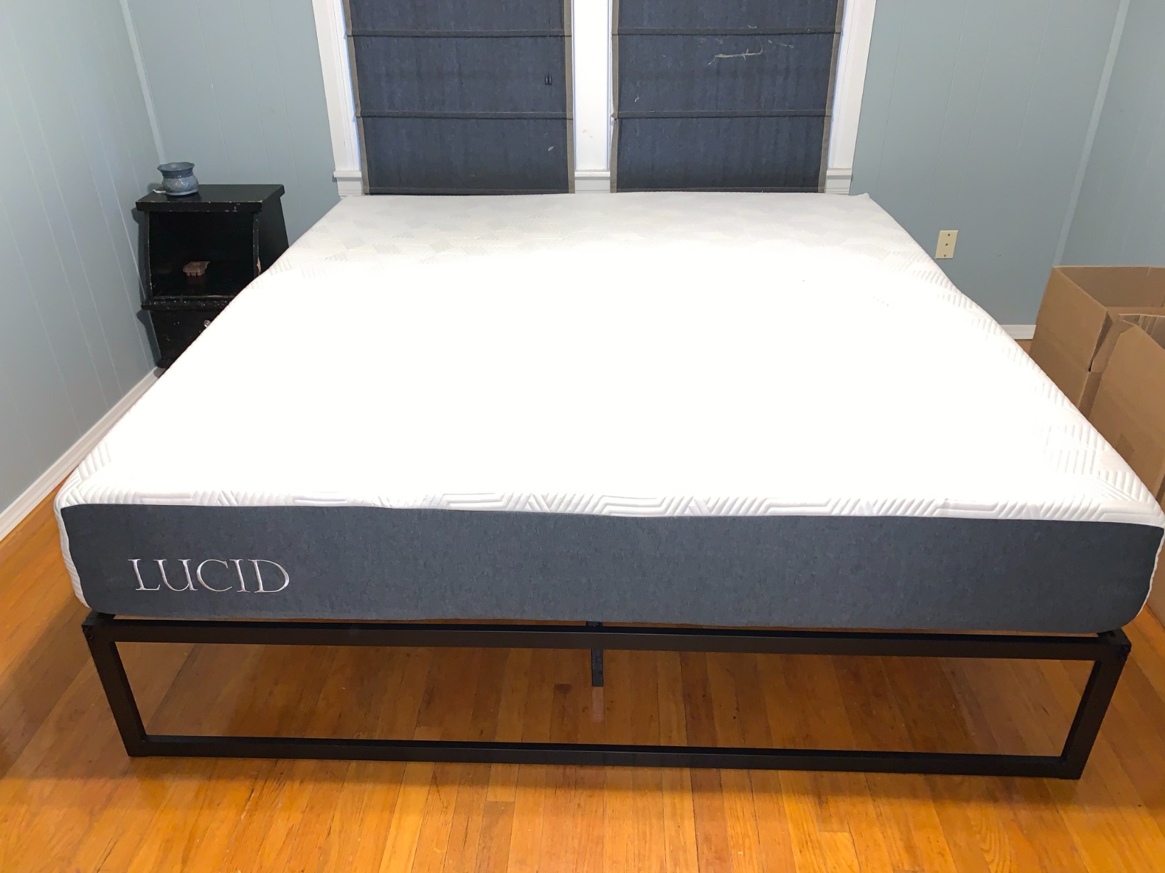 Lucid 12