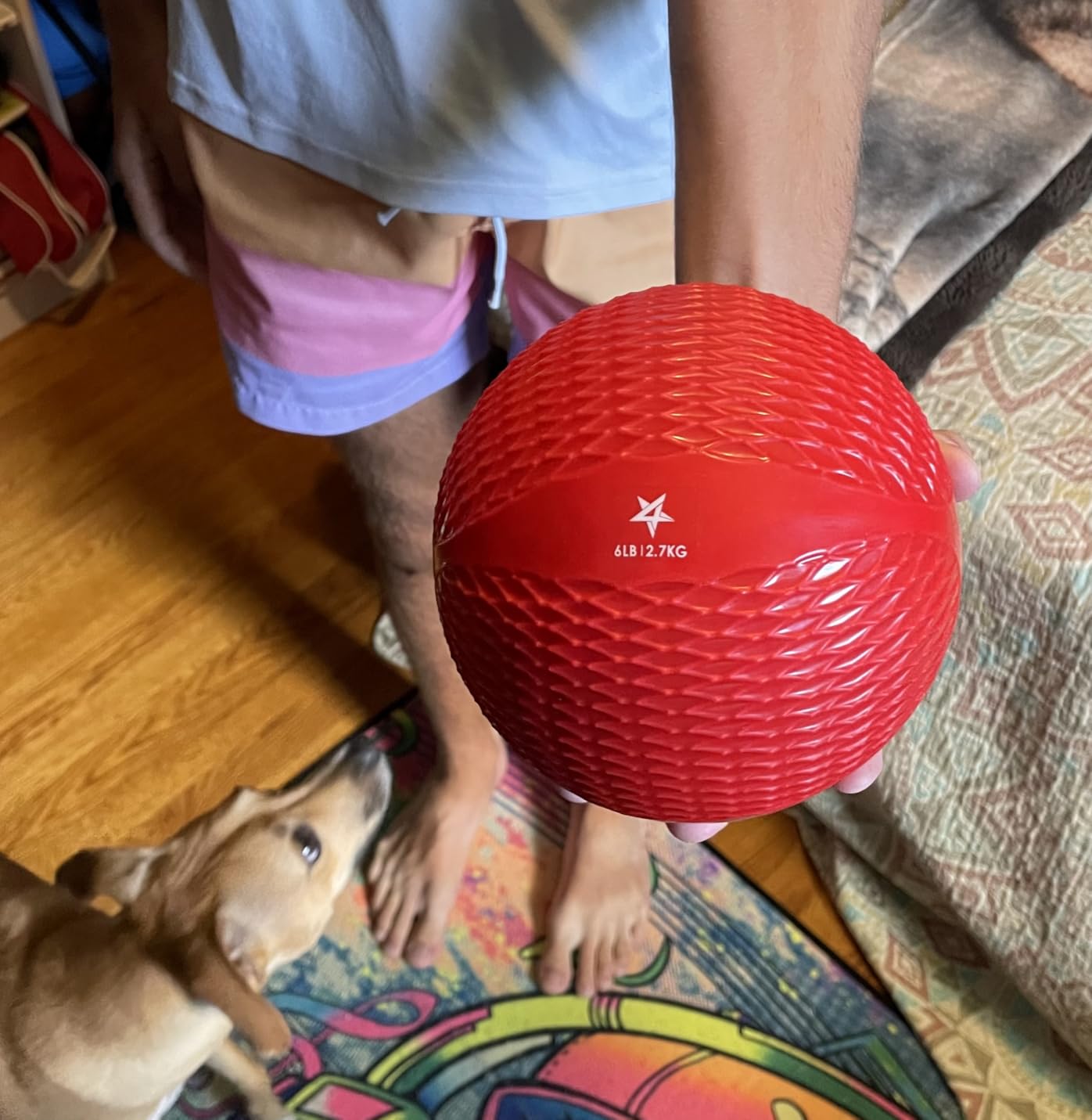 Yes4All Weighted Toning Balls for Exercise, Soft Medicine Balls for Exercise, Pilates, Yoga, Balance, Flexibility, 2-10lbs customer photo 1
