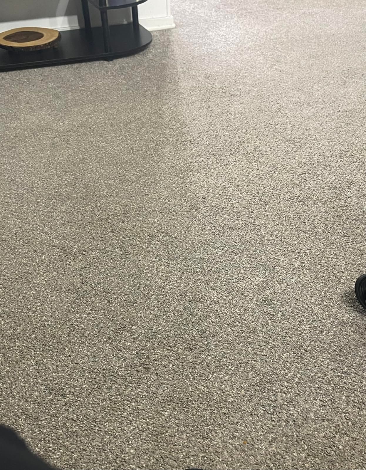 Rug Doctor Mighty Pro X3 Commercial Carpet Cleaner with Oxy Cleaner Pack customer photo 1