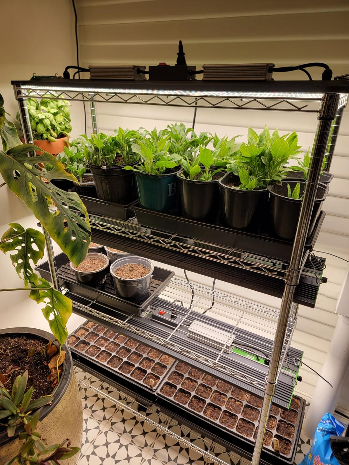 VIPARSPECTRA P4000 450 Watt LED Grow Light - Full Spectrum Commercial Grow Lamp for 5x3 Grow Tents & Greenhouses customer photo 1