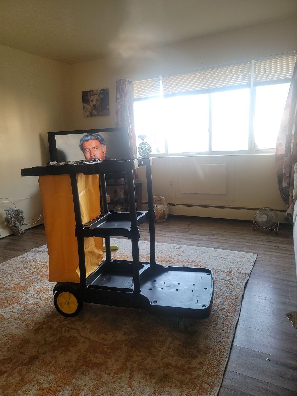 TUFFIOM Extra Large Commercial Traditional Cleaning Janitorial 3-Shelf Cart, 500 Lbs Capacity Housekeeping Cart, 42.5 in L x 18.7 in W x 37.6 in H, Wheeled with 22 Gallon Yellow VinylBag Cover w Lid, Black customer photo 1