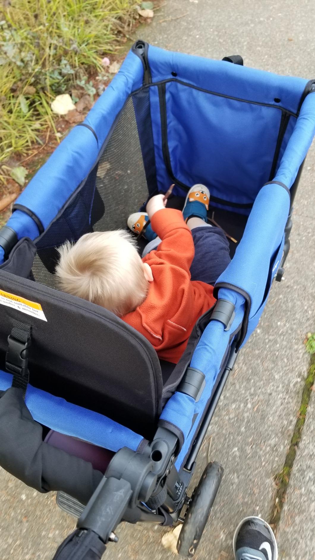WonderFold W2 Stroller Wagon - Foldable Wagon with Steel Frame - Canopy & Adjustable Push Handle - All-Terrain Wheels - for Babies, Toddlers & Kids - 2 Seater - Black customer photo 2
