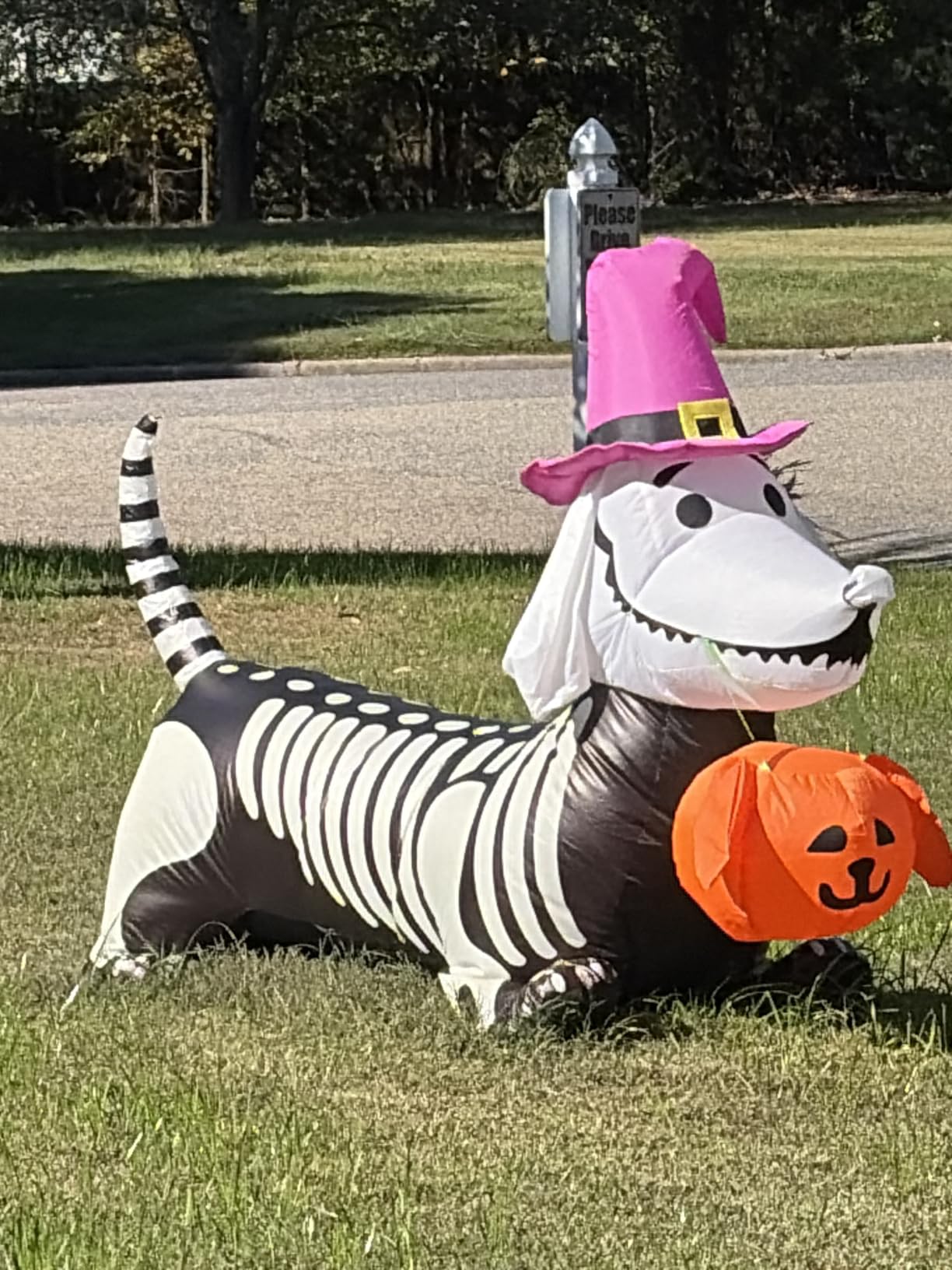 GOOSH 5.5 FT Halloween Inflatables Outdoor Decorations Skeleton Puppy Inflatable Yard Decoration with Build-in LEDs Blow Up Pumpkin for Halloween Party Indoor Outdoor Yard Garden customer photo 2