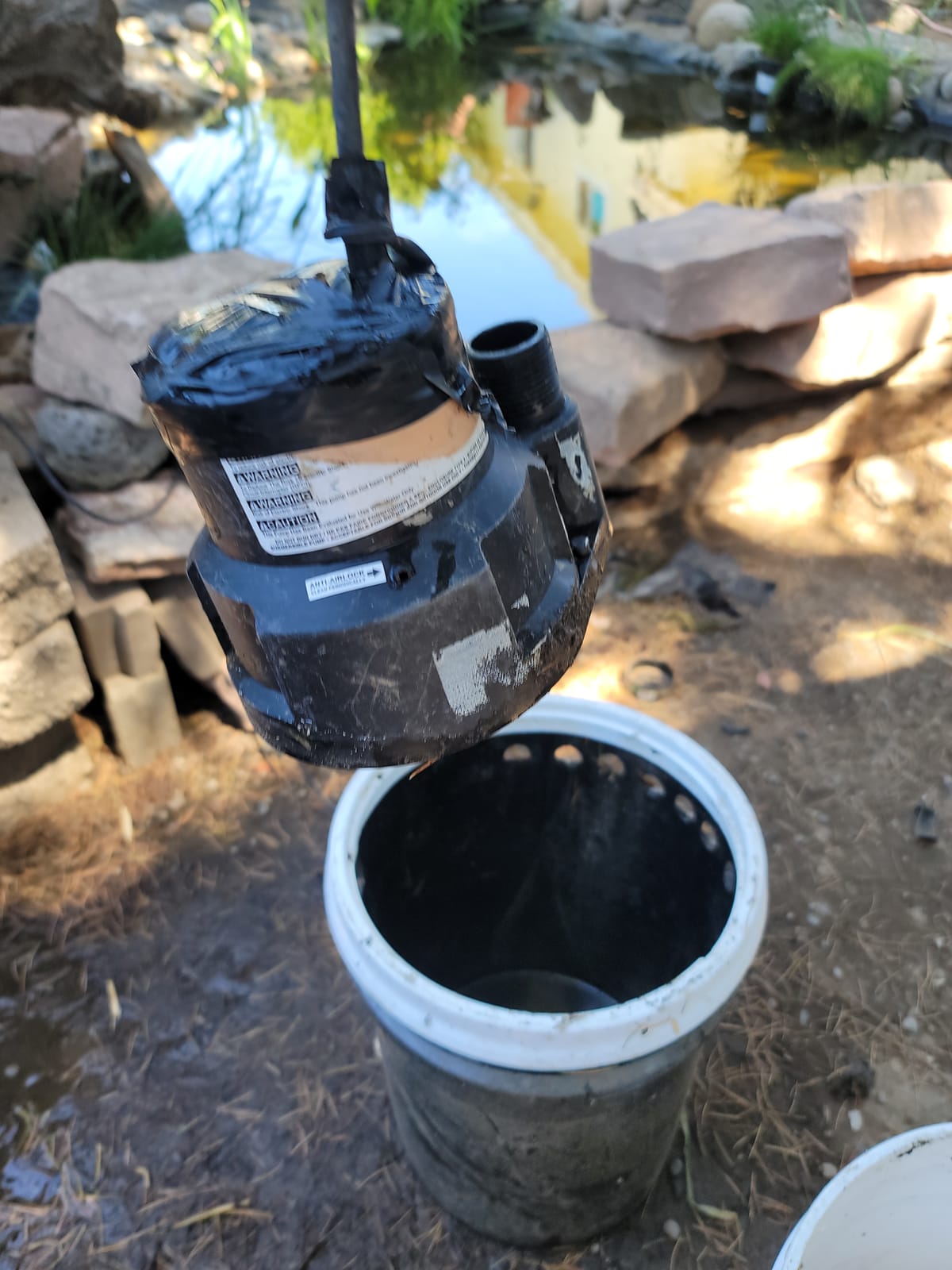 Superior Pump 91014 1/4 HP High Flow Thermoplastic Utility Pump, Black customer photo 1