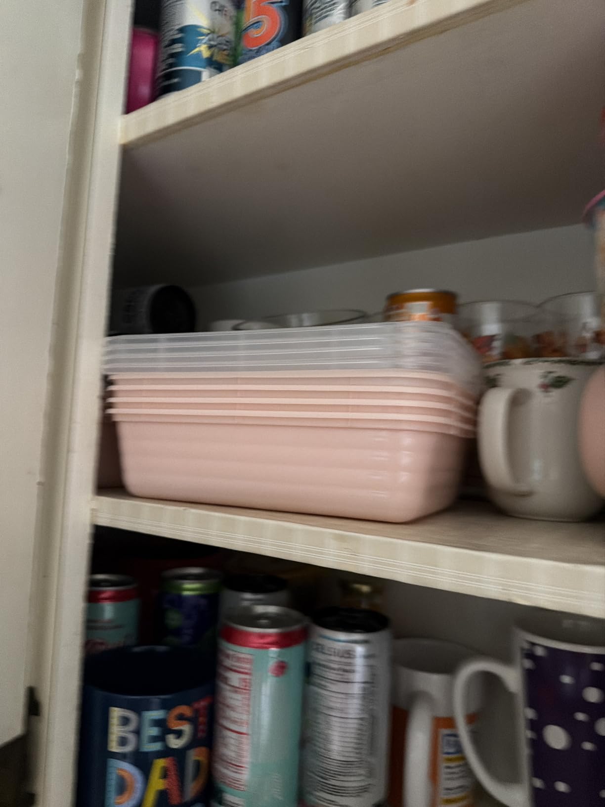 Bentgo Prep - 20-Piece 1-Compartment Reusable Meal Prep Containers with Lids, PFAS & BPA Free Materials, Durable, Microwave, Freezer, & Dishwasher Safe To Go Food Storage (Mint) customer photo 1