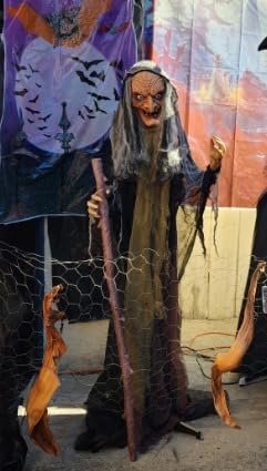 Haunted Hill Farm Life-Size Scary Poseable Talking Witch, Halloween Animatronic with Touch Activated Lights and Sound, Battery Operated Indoor or Covered Outdoor Halloween Decorations, Halloween Prop customer photo 1