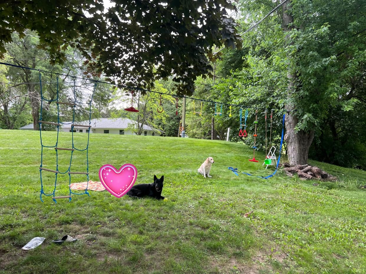 Ninja Obstacle Course for Kids Backyard - 10 Durable Obstacles and 60' Slackline - Outdoor Warrior Obstacle Playset Equipment with Gymnastic Ring, Rope Ladder, Ninja Wheel, Climbing Rope Swing customer photo 1