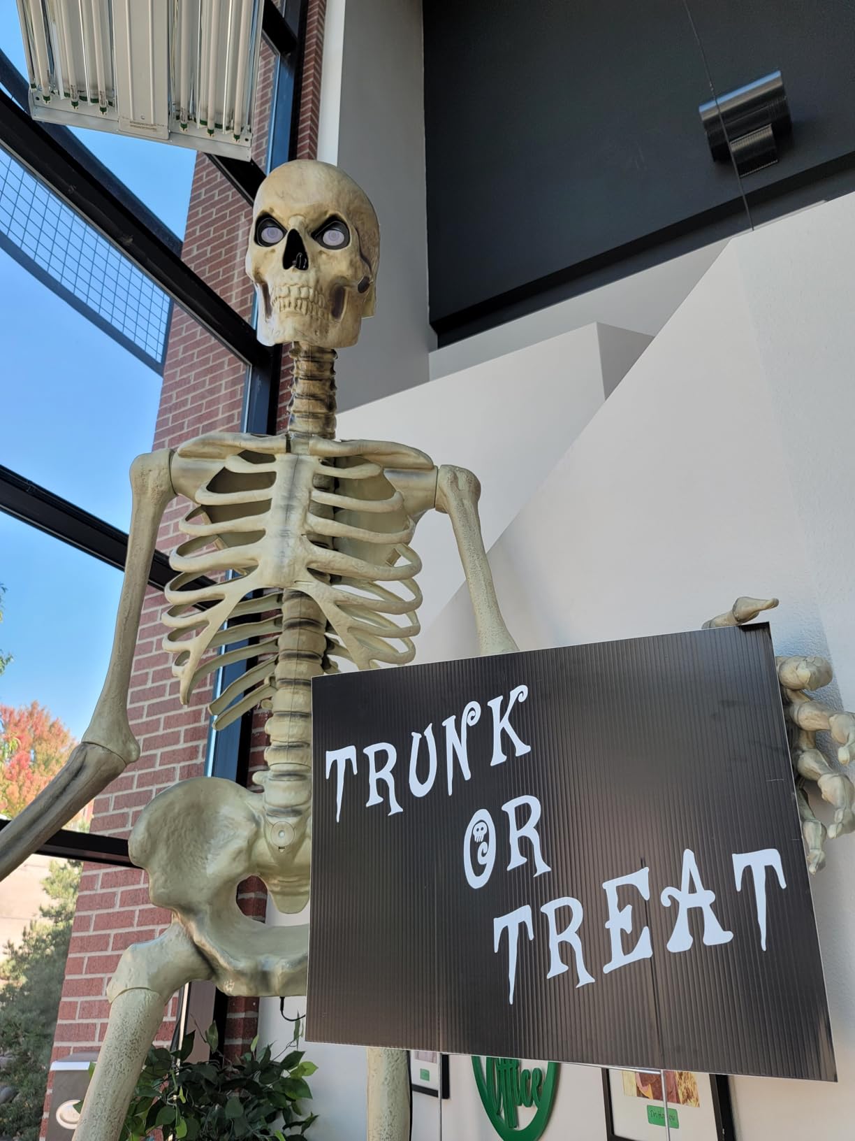 Home Accents 12 ft. Giant-Sized Skeleton with LifeEyes customer photo 2