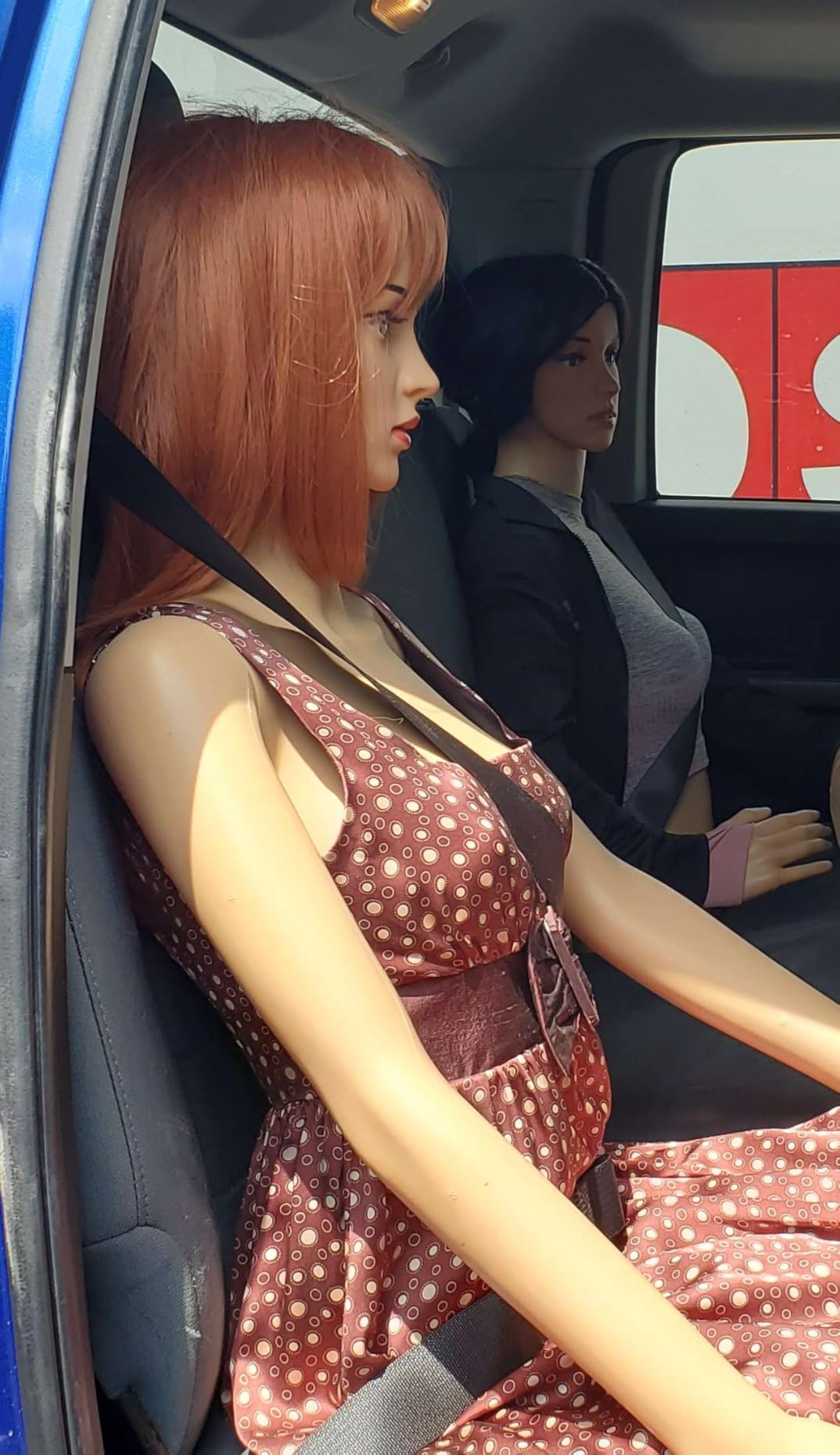 Bonnlo Female Mannequin Full Body Adjustable Torso Dress Form with Metal Base, 68inch, Detachable Plastic for Displays, Realistic Display customer photo 1