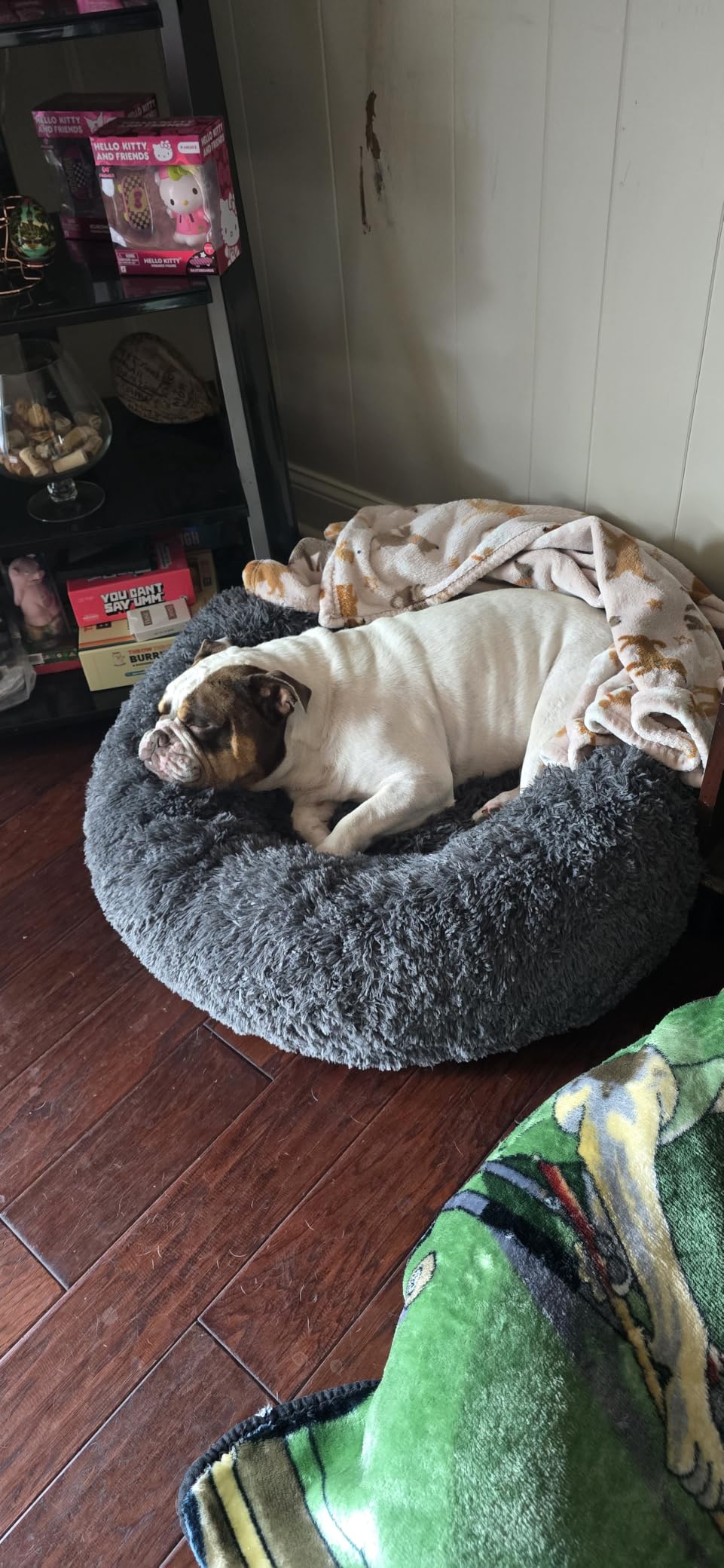 Bedsure Calming Dog Beds Large Sized Dog Donut Washable Pet Bed, 36ins Camel | Oprah Daily Award, Fluffy Faux Fur Round Cuddler, Removable Washable Cover, Anti-Slip Bottom, Anti-Anxiety, Up to 80 Lbs customer photo 2