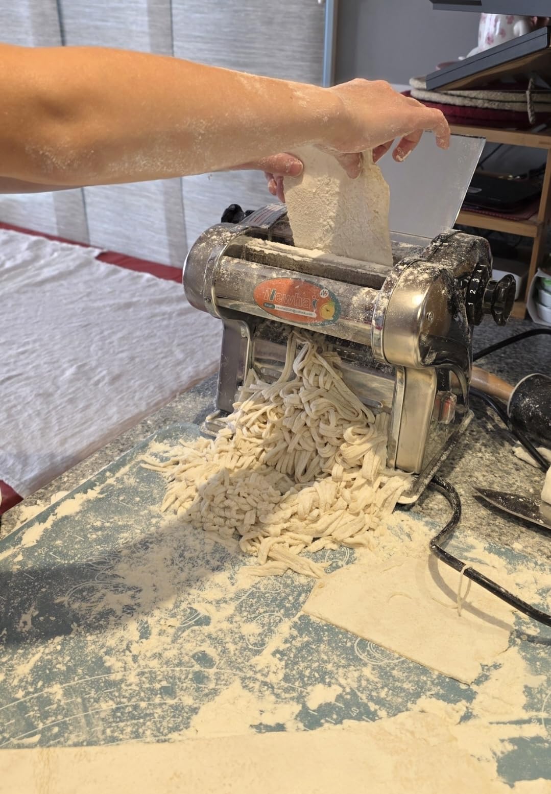 Newhai Electric Family Pasta Maker Machine Noodle Maker Stainless Steel 135W customer photo 1
