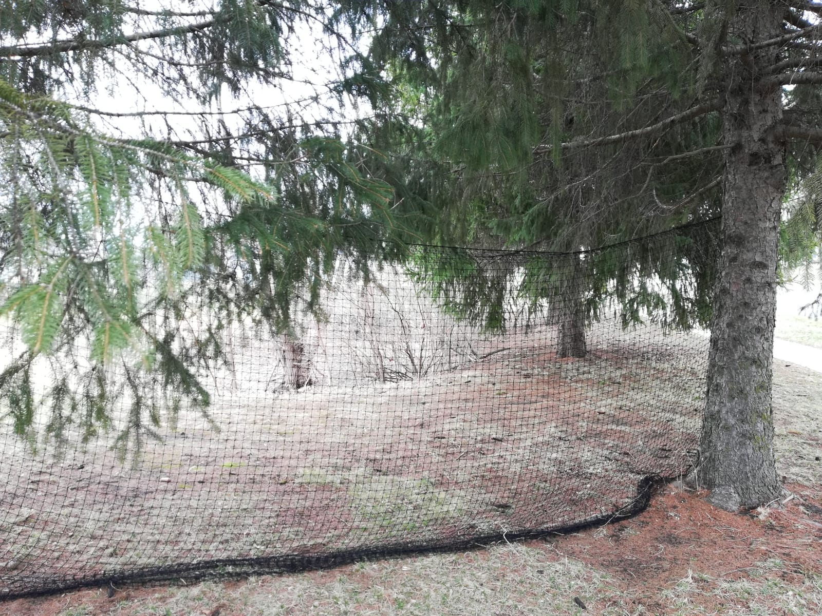Baseball Softball Backstop Nets, Heavy Duty Sports Netting Barrier #18 Nylon Baseball Netting 10'x20'/10'x30' (Net Only) customer photo 2