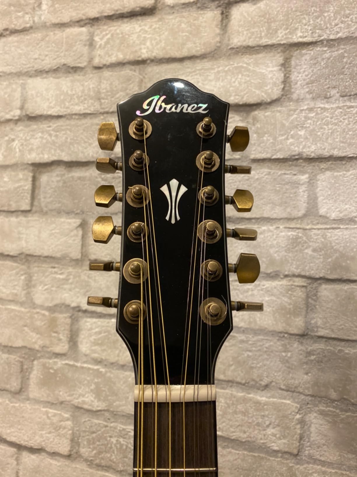Ibanez AEG5012 12-string Acoustic-electric Guitar - Dark Violin Sunburst customer photo 2