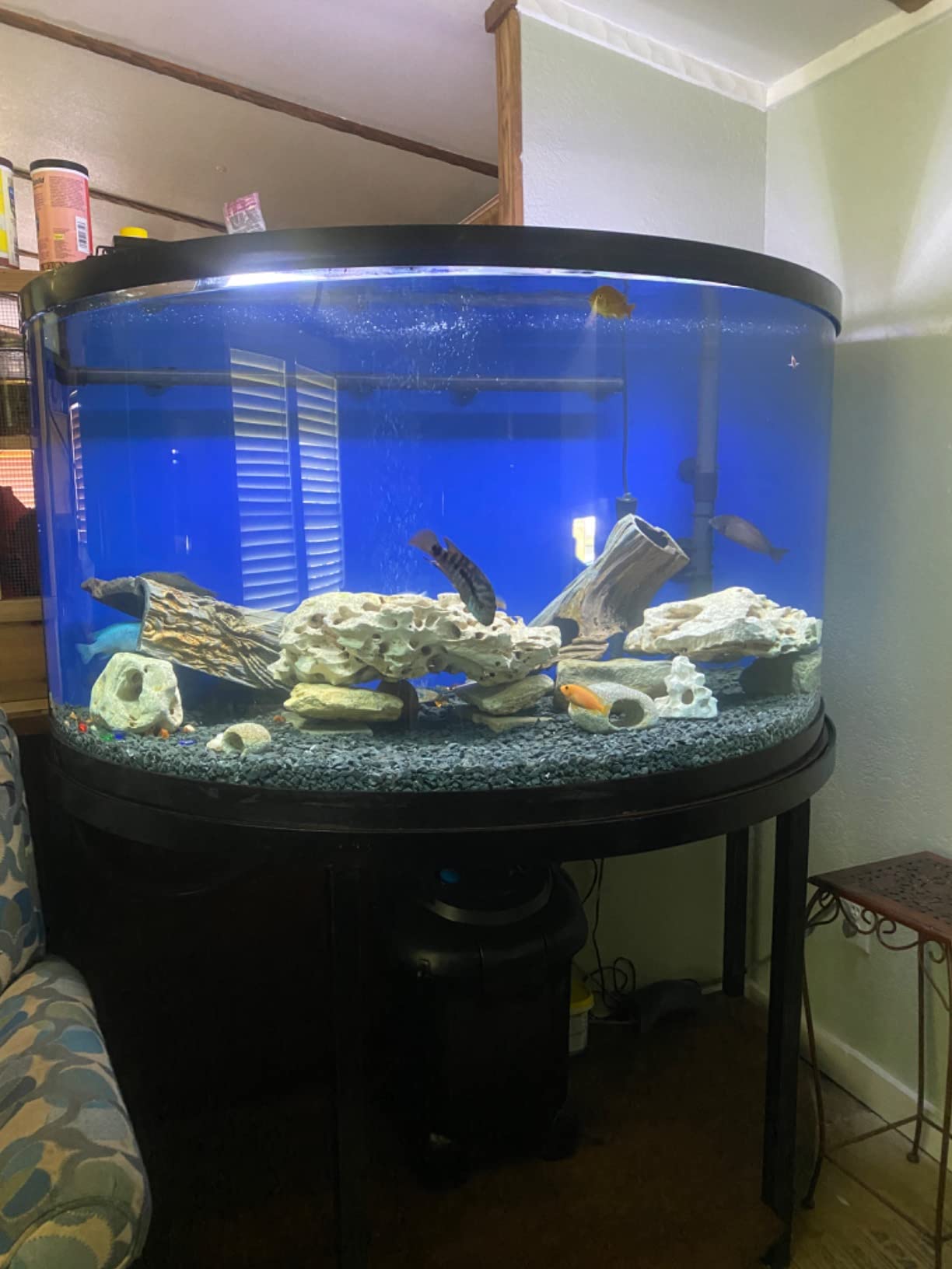 Penn-Plax Cascade Max Flow Canister Filter - 820 GPH Aquarium Filter for Tanks Up to 250+ Gallons - 360 Degree Flow Valves, Poly Fiber Pads and Bio-Sponge - Fresh & Saltwater - 16.6 x 15 x 23.6 in customer photo 2