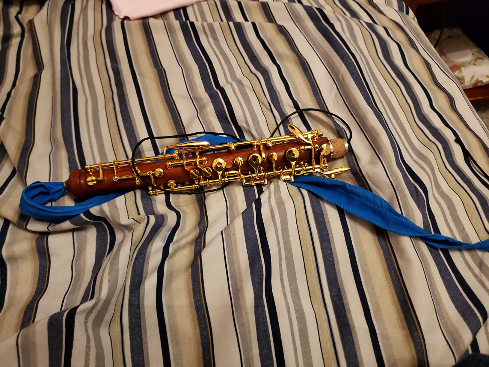 Rochix Oboe Professional Performance Level RHG13 Redwood Body Gold Plated Semi Automatic C Tone with 2 Reeds, Cleaning Cloth, Oboe Swab, Thumb Rest, Case and More customer photo 2