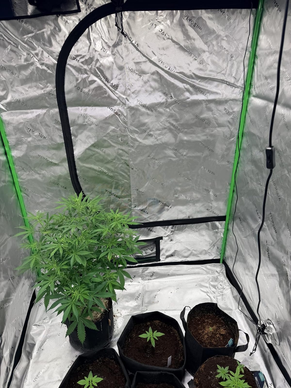 Barrina 4x4 Grow Light Panel - 200W Full Spectrum Dimmable LED with 816 LEDs High PPFD customer photo 2