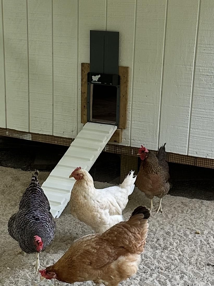 RUN-CHICKEN Door T50 - Automatic Chicken Coop Door Opener, Battery Powered & Weatherproof Aluminum, Smart App & Timer Control, Predator Proof, Easy Install, Reliable All-Season Performance (Gray) customer photo 1