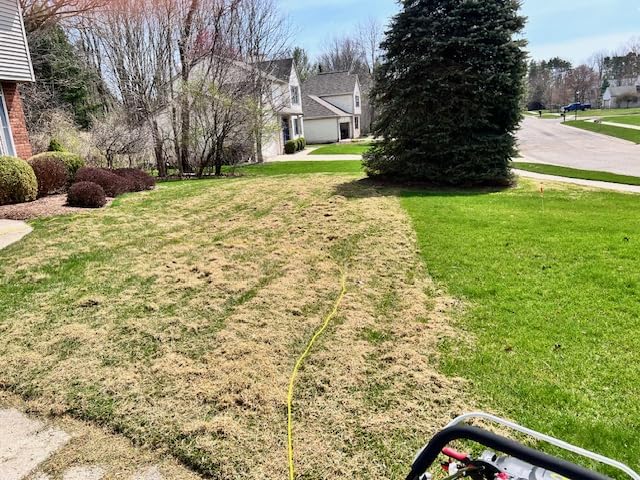 Sun Joe 15-Inch Lawn Dethatcher with Scarifier Blade Reel, AJ805E | and Collection Bag - 13-Amp Corded Yard Power Rake Tool Machine for Grass Thatch Removal, Electric Powered customer photo 1