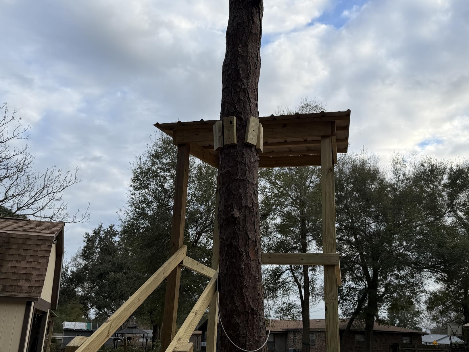 Zip Line Kit for Kids and Adults, 100/120/150/200 ft, Up to 350 Lbs, Rustproof Stainless Steel, Quick Setup with Ratchet, Safety Harness, Backyard Adventure Fun Includes Climbing Holds customer photo 1