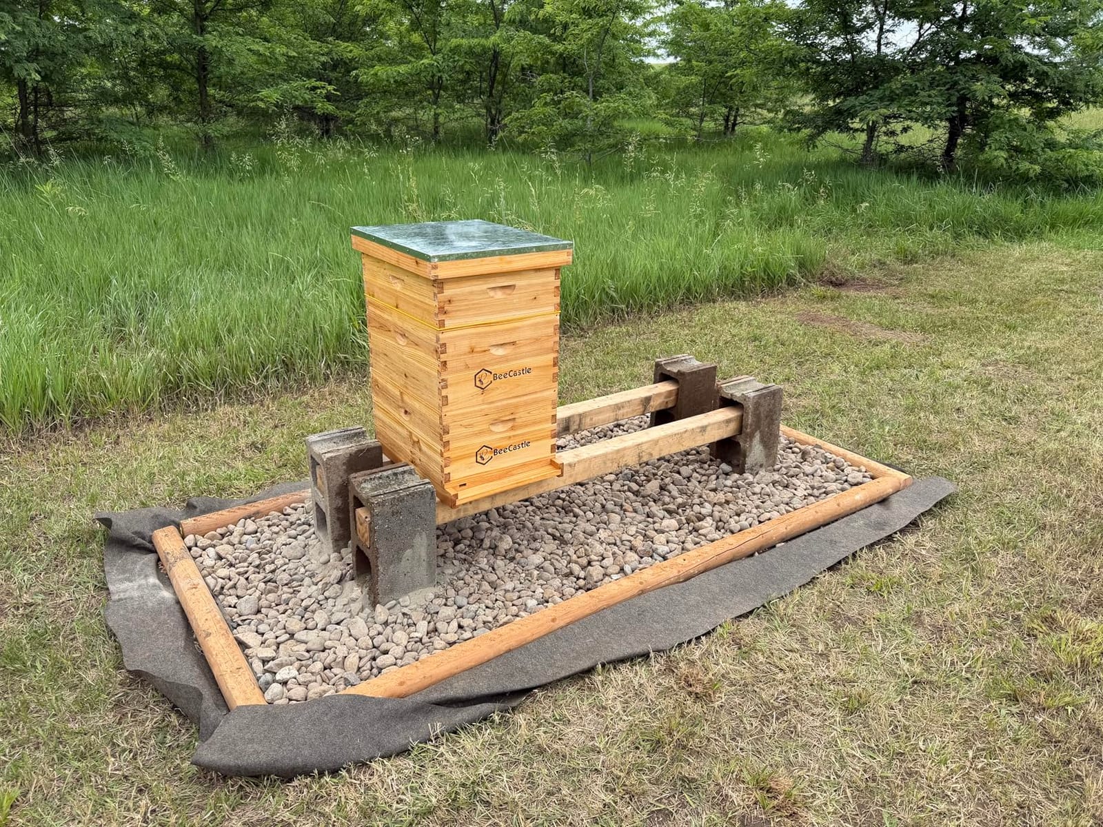 BeeCastle 10 Frame Langstroth Bee Hive Coated with Beeswax Includes Beehive Frames and Waxed Foundations (2 Deep Boxes & 1 Medium Box) customer photo 1