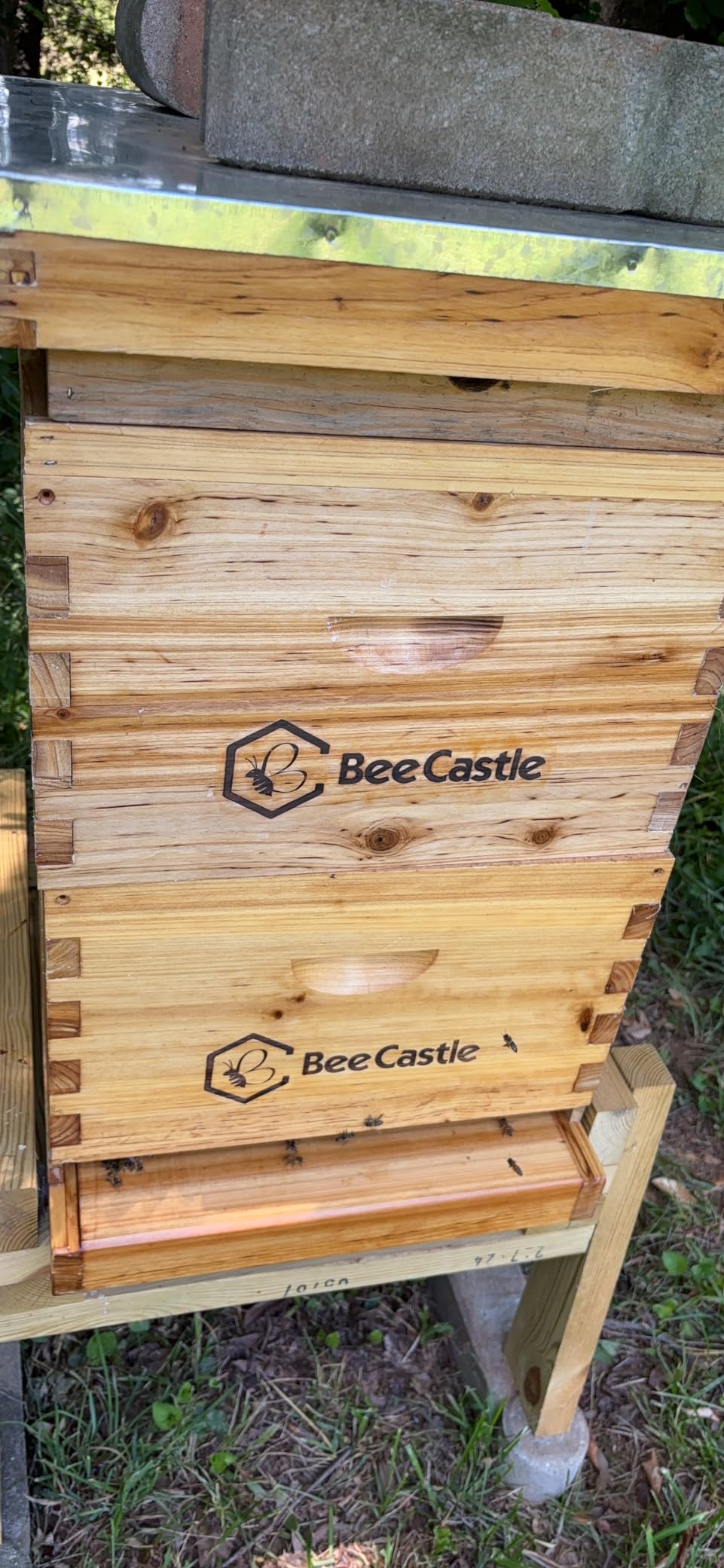 BeeCastle 10 Frame Langstroth Bee Hive Coated with Beeswax Includes Beehive Frames and Waxed Foundations (2 Deep Boxes & 1 Medium Box) customer photo 2