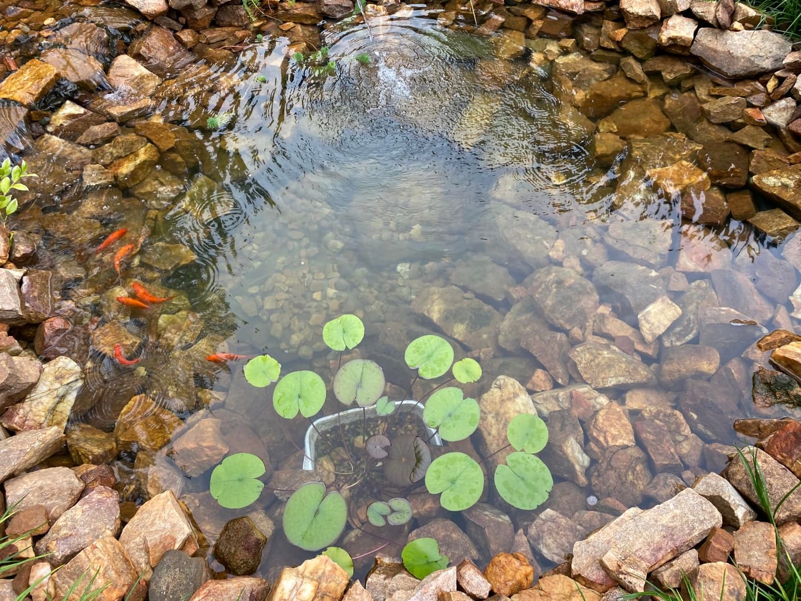 Jebao STU-36 Stainless Steel Pond and Aquarium Clarifier, 36-watt customer photo 2