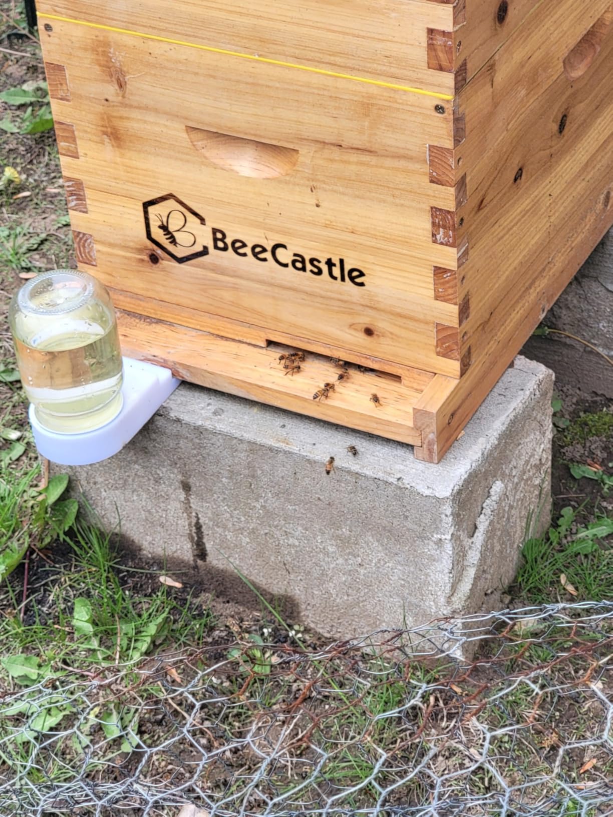 BeeCastle 8 Frame Langstroth Bee Hive Coated with Beeswax Includes Beehive Frames and Waxed Foundations (2 Deep Boxes & 1 Medium Box) customer photo 2