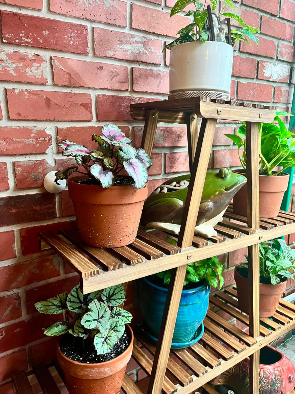 Ufine 4 Tier Wood Plant Stand Indoor Outdoor A Frame Plant Display Shelf | Multiple Plants Rack Flower Pot Holder for Living Room Balcony Patio customer photo 2