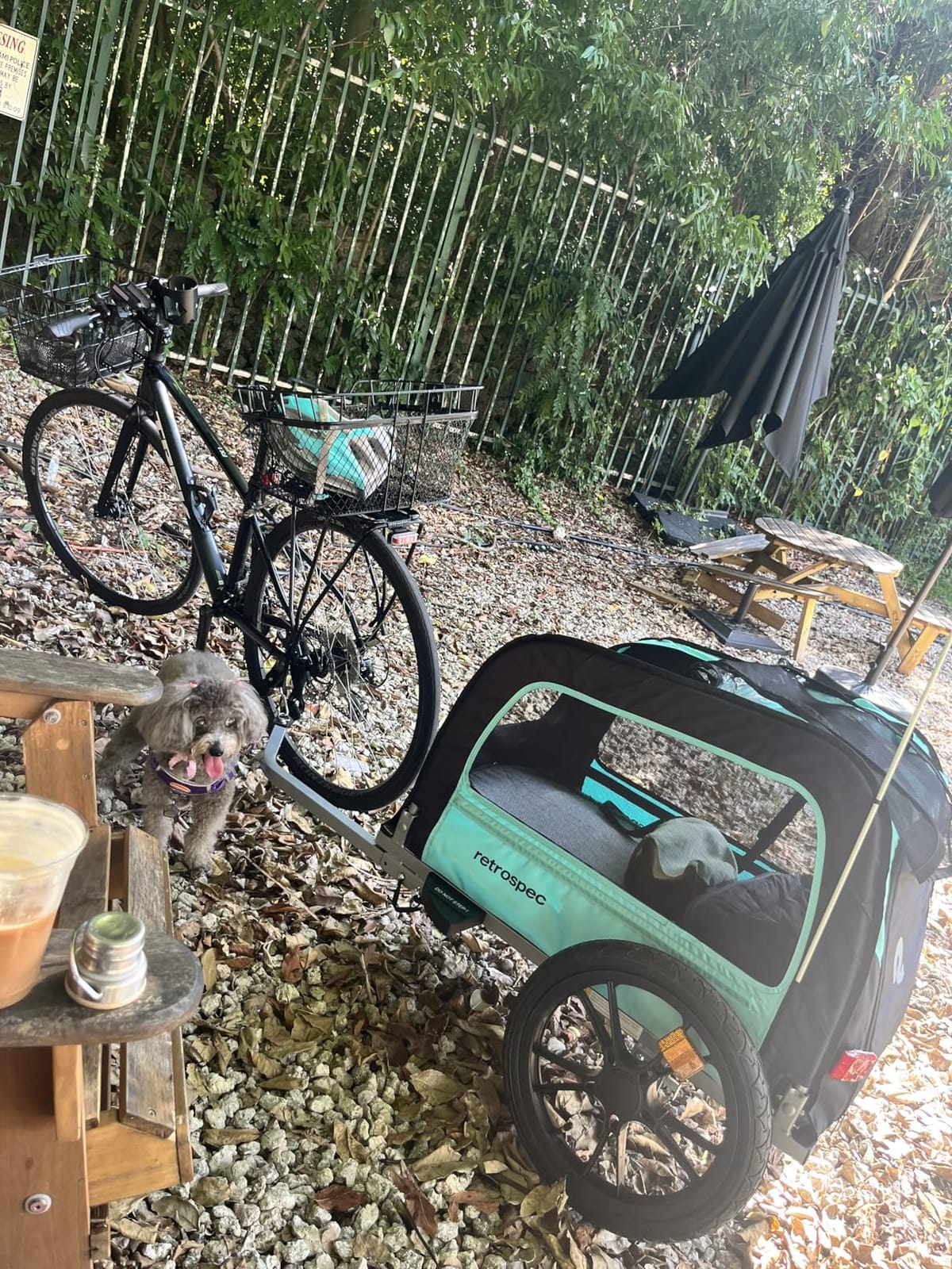Retrospec Rover Waggin' Pet and Dog Bike Trailer with Weather-Resistant Canopy & Mesh Shield - Foldable Frame, 16in Wheels with Storage Pouch & Internal Safety Leash Supports up to 50 lbs customer photo 1