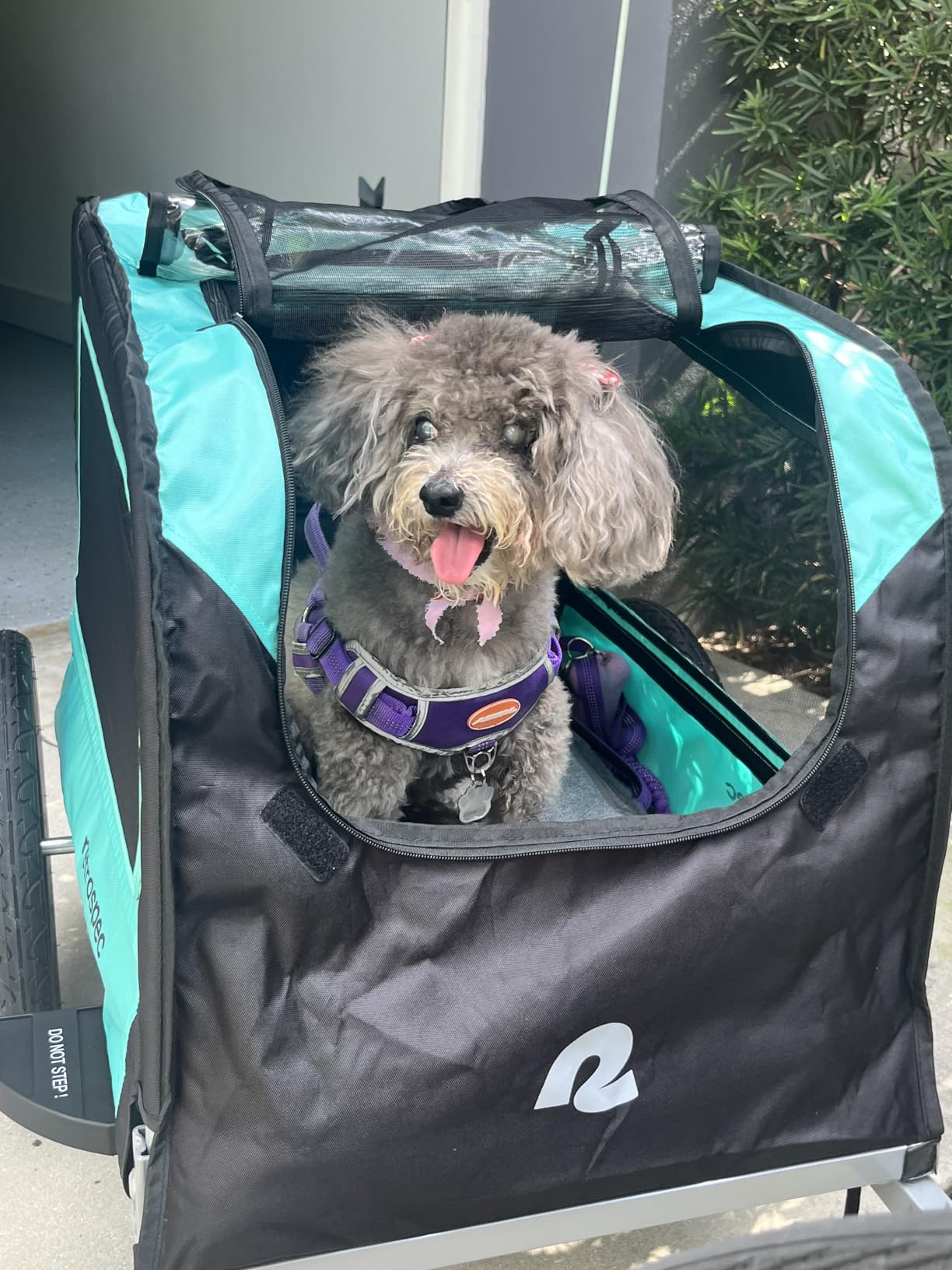 Retrospec Rover Waggin' Pet and Dog Bike Trailer with Weather-Resistant Canopy & Mesh Shield - Foldable Frame, 16in Wheels with Storage Pouch & Internal Safety Leash Supports up to 50 lbs customer photo 2