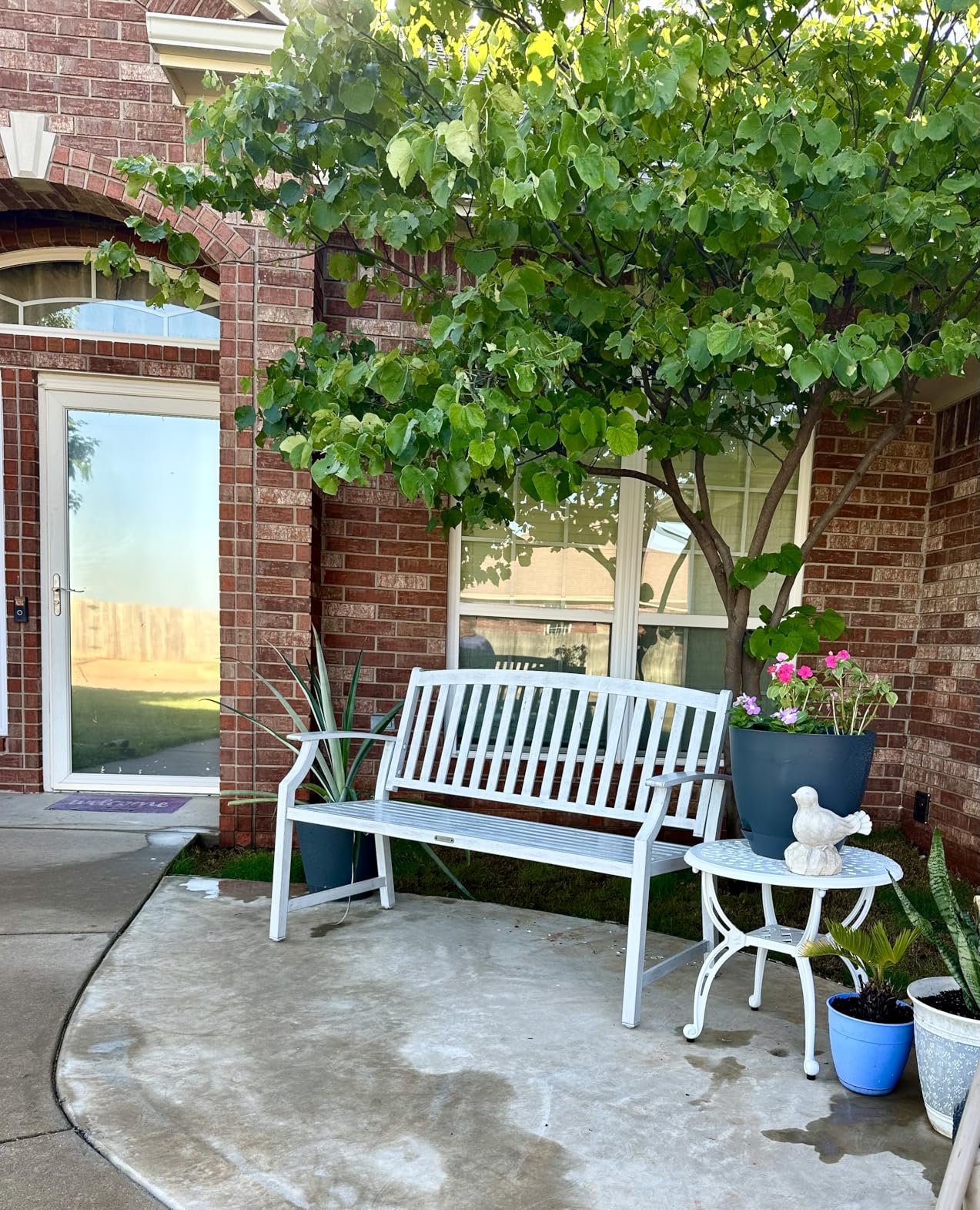 Grand patio 50