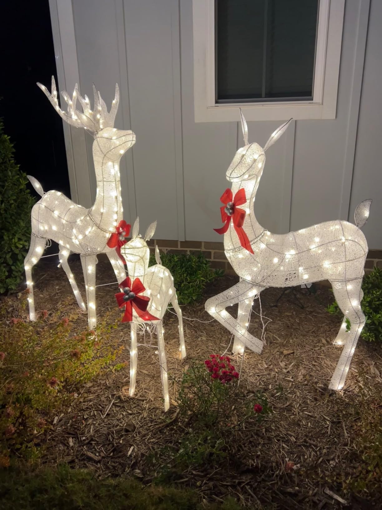 Best Choice Products 3-Piece Large Lighted Christmas Deer Family Set 5Ft Outdoor Yard Decoration with 360 LED Lights, Stakes, Zip Ties - White customer photo 1