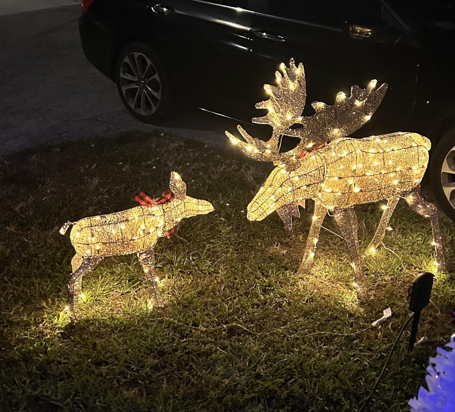 Best Choice Products 2-Piece Moose Family, Lighted Outdoor All-Weather Christmas Yard Decoration Light-Up Decor Set w/ 170 LED Lights, Ground Stakes, Zip Ties - Gold customer photo 2