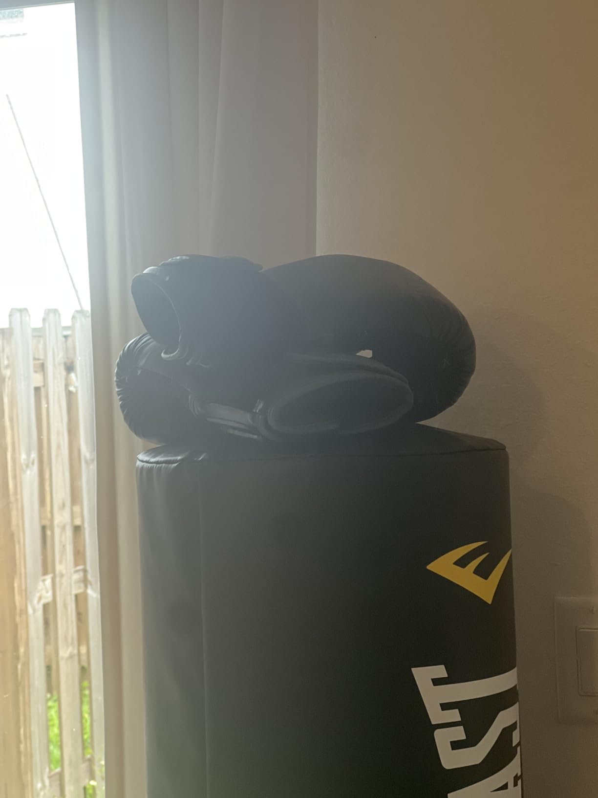 Everlast Powerlock 2 Hook & Loop Boxing Gloves customer photo 2